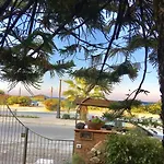 Araucaria Sul Mare *